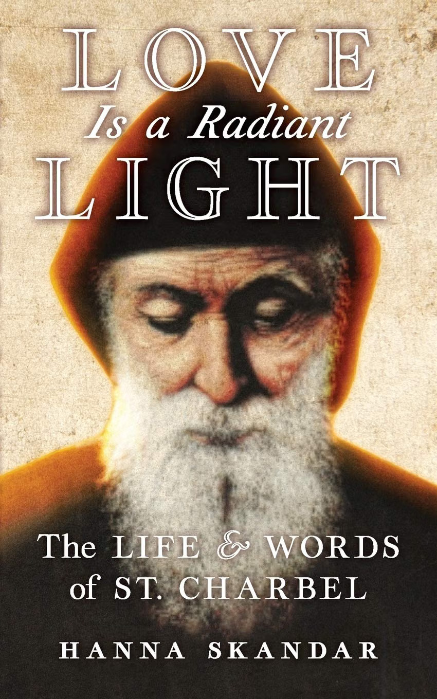 Book 28 Cover